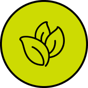 Clean Ingredients