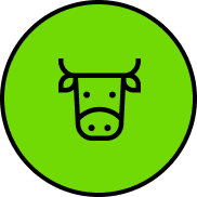 100% GRASS-FED BEEF